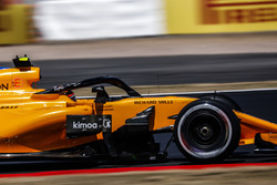 Stoffel Vandoorne, McLaren MCL33