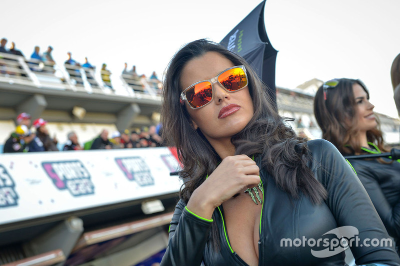 Чарівна дівчина Monster energy