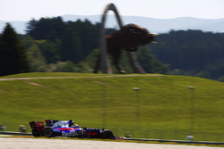 Карлос Сайнс-мл., Scuderia Toro Rosso STR12