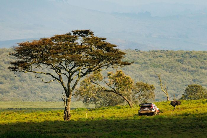 Sami Pajari, Marko Salminen, Toyota Gazoo Racing WRT2 Toyota GR Yaris Rally1