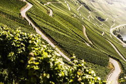 Impressionen von der Rallye Deutschland