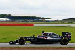 Stoffel Vandoorne, pilote d'essais et de réserve McLaren MP4-31