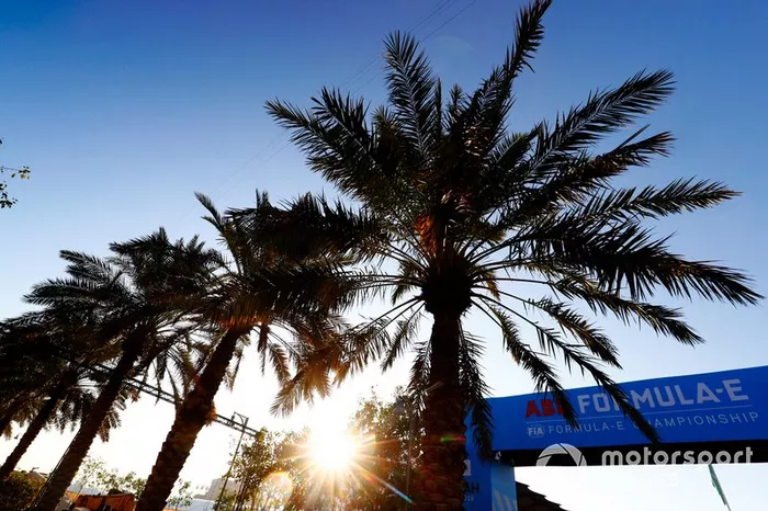 Palme vicino alla pista