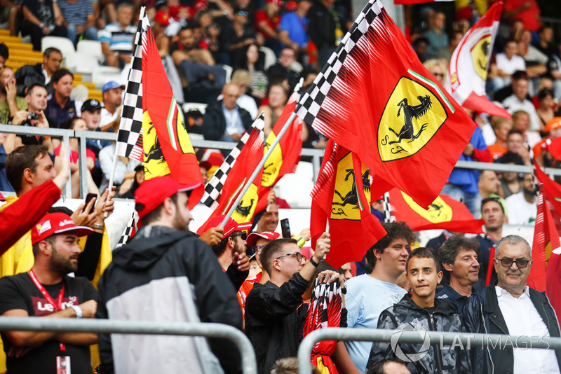 Tifosi