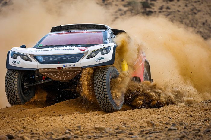 #314 Abu Dhabi Racing Peugeot: Cyril Despres, Mike Horn