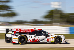 #60 Michael Shank Racing with Curb/Agajanian Ligier JS P2 Honda: John Pew, Oswaldo Negri, Olivier Pl