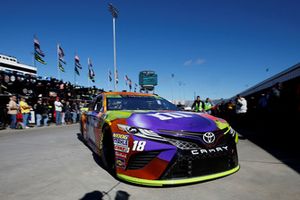 Kyle Busch, Joe Gibbs Racing, Toyota Camry M&M's Halloween