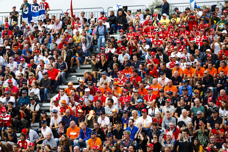 Tifosi