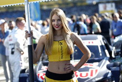 La grid girl di Marco Wittmann, BMW Team RMG, BMW M4 DTM