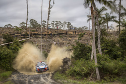 Thierry Neuville, Nicolas Gilsoul, Hyundai i20 WRC, Hyundai Motorsport
