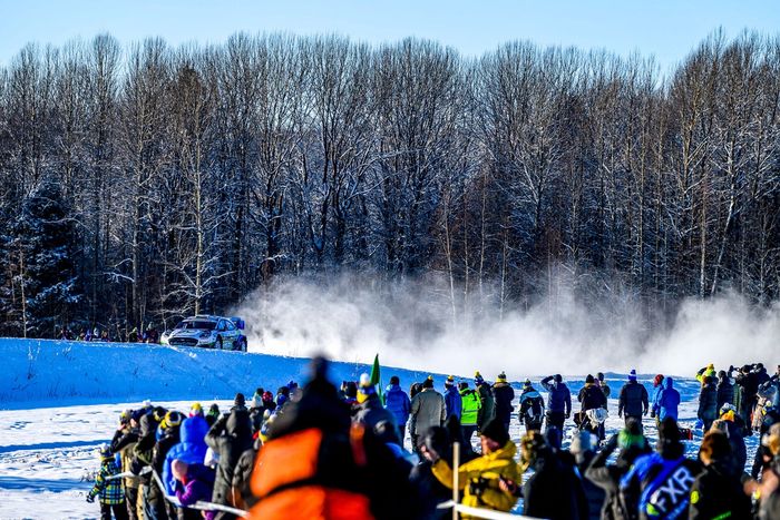 Джошуа Макерлин, Эоин Трейси, команда M-Sport Ford World Rally Team Ford Puma Rally1