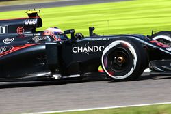 Jenson Button, McLaren MP4-31
