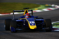 Santino Ferrucci, DAMS