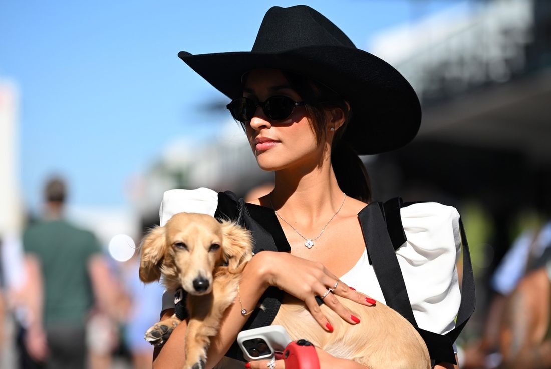  Alexandra St Mleux i Leo