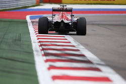 Max Verstappen, Scuderia Toro Rosso STR11