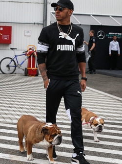 Lewis Hamilton, Mercedes AMG F1 W08 ve köpekleri Coco ve Roscoe