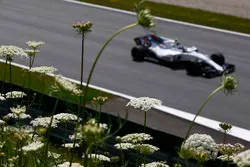  Lance Stroll, Williams FW40