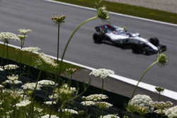 Lance Stroll, Williams FW40