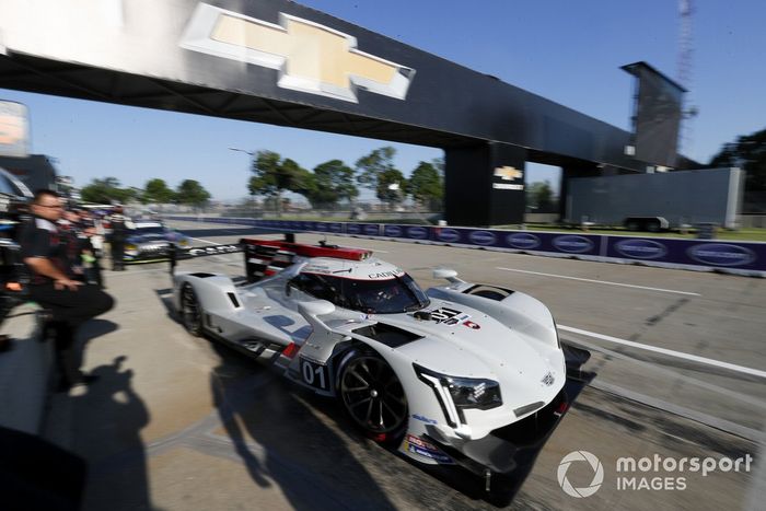 #01 Cadillac Chip Ganassi Racing Cadillac DPi, Renger van der Zande, Kevin Magnussen