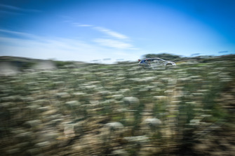 Paolo Andreucci, Anna Andreussi, Peugeot 208 T16 R5, Peugeot Sport Italia
