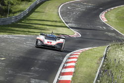 Porsche 919: Timo Bernhard