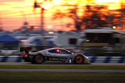 #5 Action Express Racing Corvette DP: Joao Barbosa, Christian Fittipaldi, Filipe Albuquerque, Scott