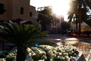 Abu Dhabi paddock