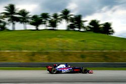 Pierre Gasly, Scuderia Toro Rosso STR12