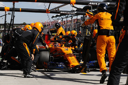Стоффель Вандорн, McLaren MCL33