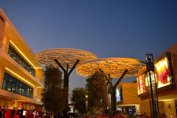 A general view of the Paddock