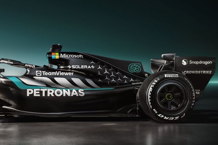 Mercedes W17 livery