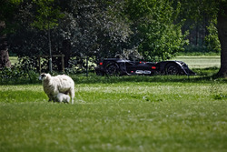 La Robocar nel terreno di Villa Goodwood