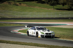 Alex Zanardi, Roal Motorsport