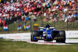 Pascal Wehrlein, Sauber C36