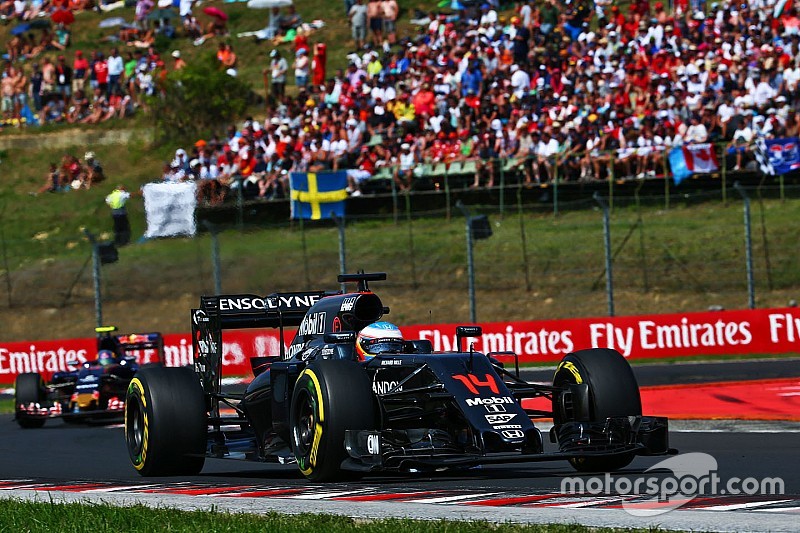 Fernando Alonso, McLaren MP4-31