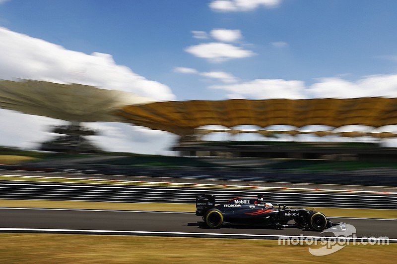 Fernando Alonso, McLaren MP4-31