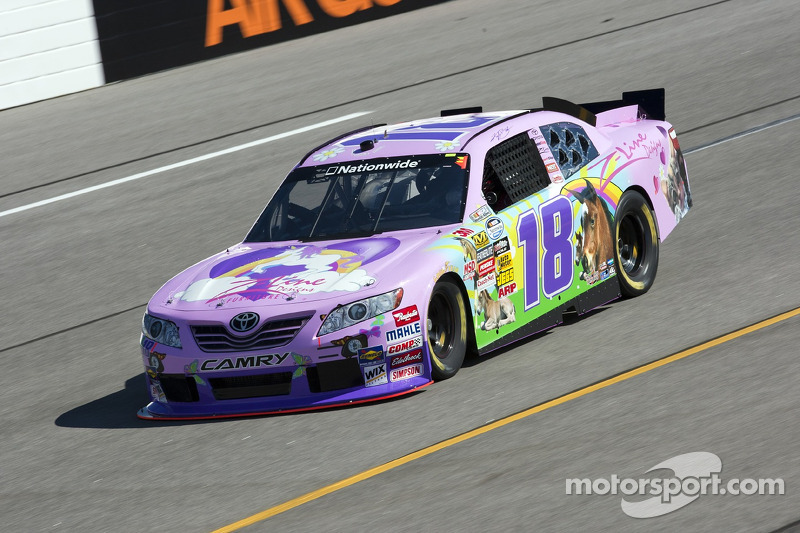 In der NASCAR hat Pink Tradition: Kyle Buschs Nationwide-Auto in Richmond 2010
