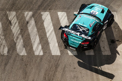 #34 Vita4One BMW Z4: Jacques Villeneuve, Jos Verstappen