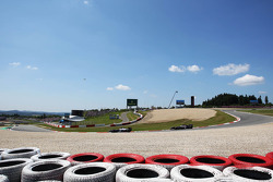 Pastor Maldonado, Williams FW35
