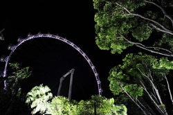 La grande roue de Singapour