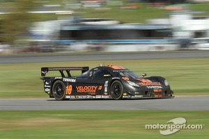 #10 Wayne Taylor Racing Corvette DP: Max Angelelli, Jordan Taylor