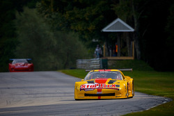 #4 Tony Ave Racing Chevrolet Corvette: Paul Fix