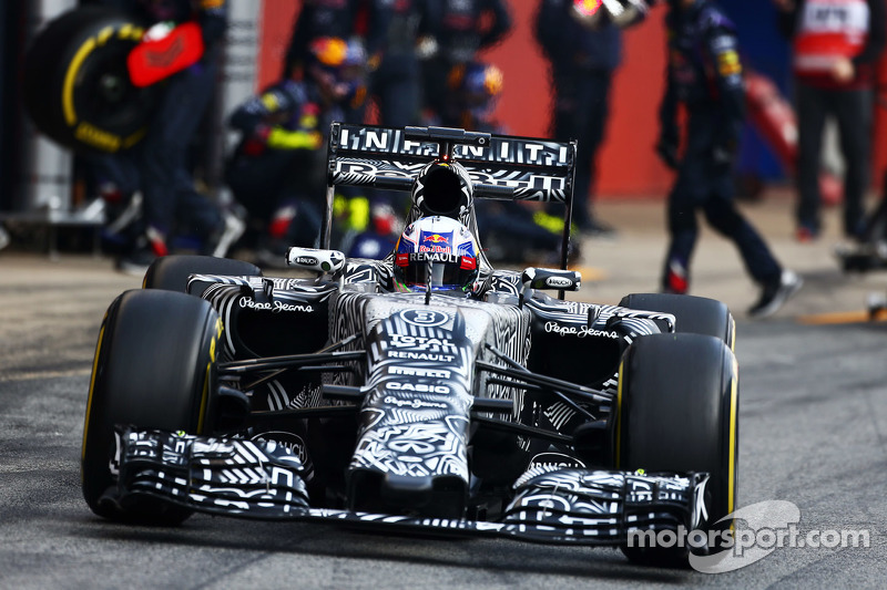 Daniel Ricciardo, Red Bull Racing RB11, bei einem Trainingsstopp