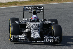 Daniel Ricciardo, Red Bull Racing RB11