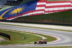 Daniel Ricciardo, Red Bull Racing RB11