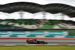 Max Verstappen, Scuderia Toro Rosso STR10