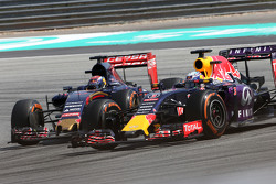 Даниэль Риккардо Red Bull Racing и Макс Ферстаппен, Scuderia Toro Rosso