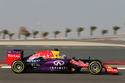 Даниэль Риккардо, Red Bull Racing RB11