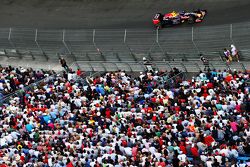 Daniil Kvyat, Red Bull Racing RB11