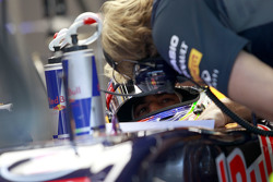 Daniel Ricciardo, Red Bull Racing RB11